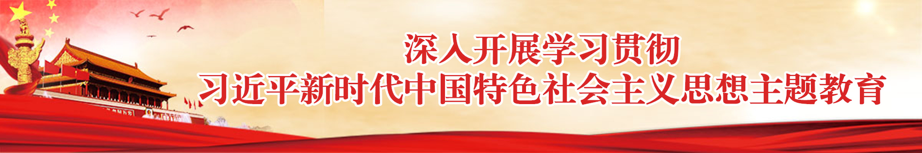 学习贯彻习近平新时代中国特色社会主义思想主题教育专题网站